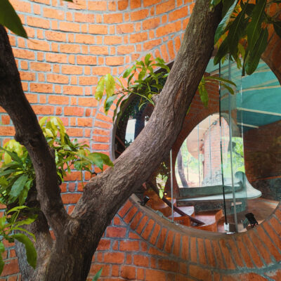 Interior view with tree and brick walls - Farmhouse in Alibag - Sustainable, eco friendly, biophilic architects in Mumbai, India