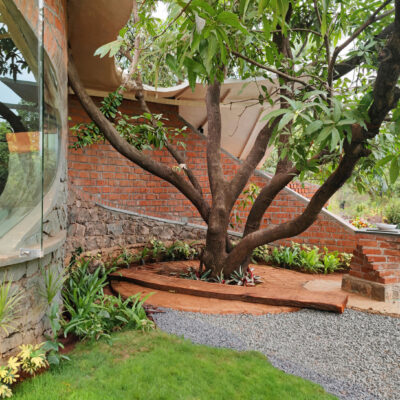 Modern biophilic architecture with integrated greenery - Farmhouse in Alibag - Sustainable, eco friendly, biophilic architects in Mumbai, India
